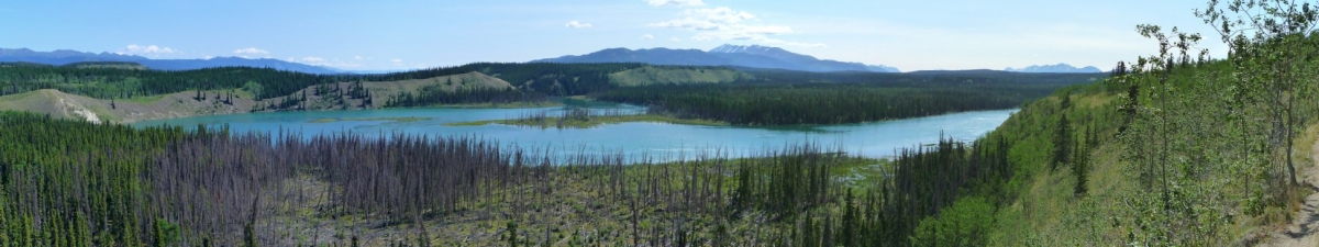 Untitled (Yukon Panorama) (Robert Tadlock)  [flickr.com]  CC BY 
Informazioni sulla licenza disponibili sotto 'Prova delle fonti di immagine'